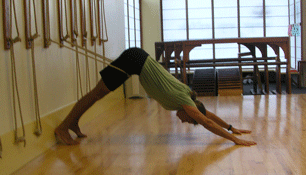Adho Mukha Svanasana